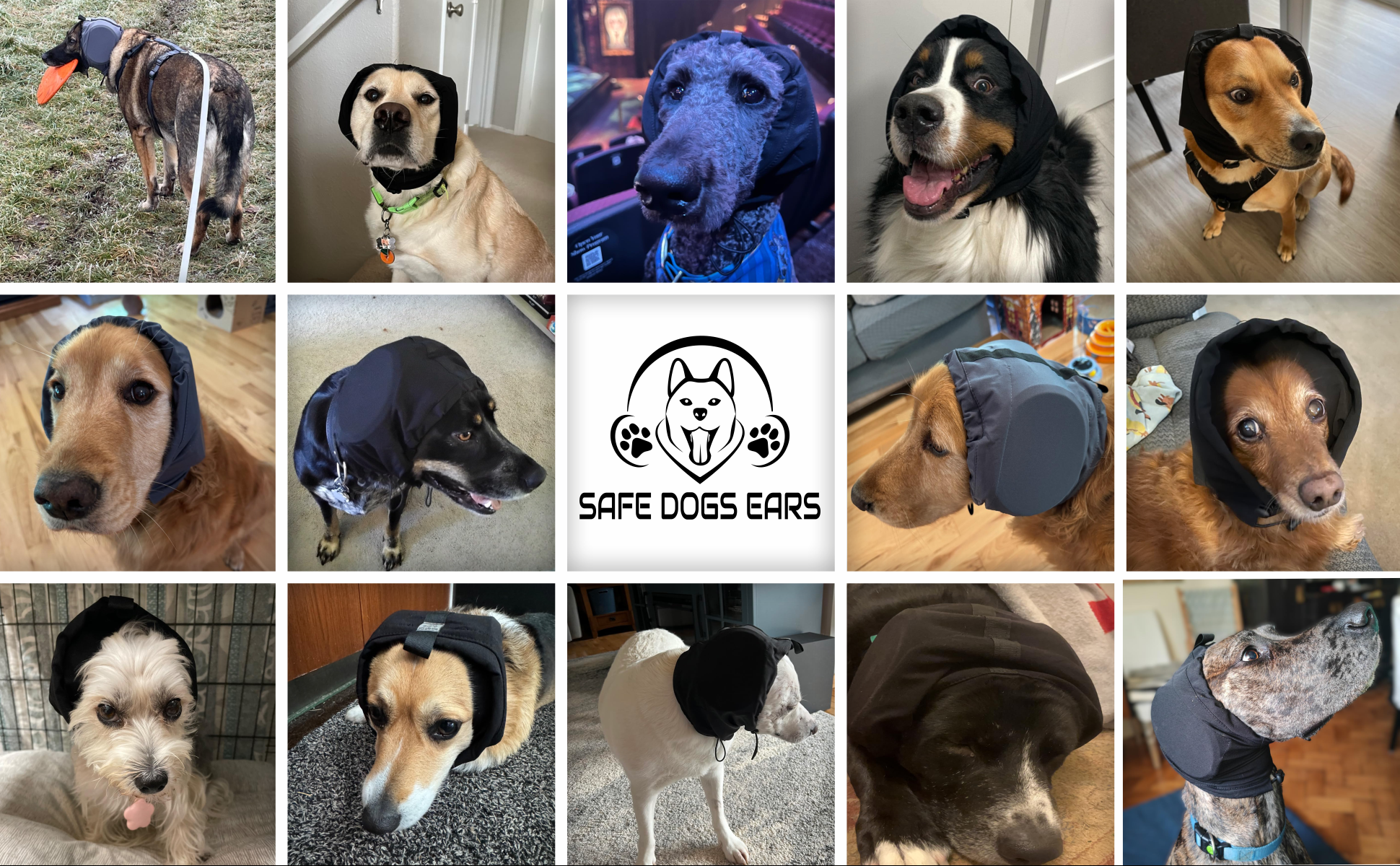 Galeria przykładów