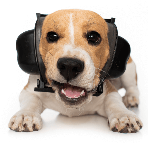 Nauszniki dla psa na sylwestra, burze, koncerty